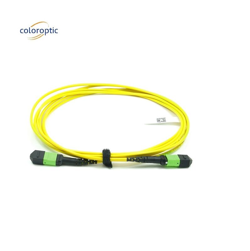パッシブオプティカルシングルモードパッチコード MPO-12 / APC-To-MPO12 / APC