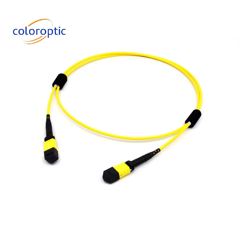 マルチモードファイバー MTP MPO 16 FIBRE OM5 (50/125) PATCH CABLE for SR8 400G QSFP-DD and OSFP 400G SR8 PAM4